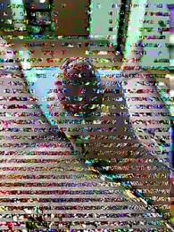 RT_SNW webcam model stream image