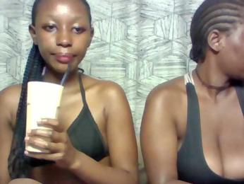 Electriceve webcam model stream image