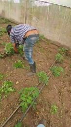 jo23_xxx webcam model stream image