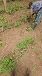 jo23_xxx webcam model stream image