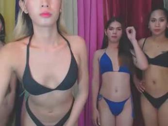 livefuckers_dual webcam chaturbate model stream image