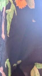 Binkitastic webcam model stream image