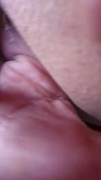 Centolo webcam model stream image