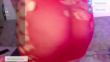 Liilbaconn webcam model stream image