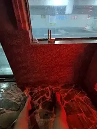 starvingo2002 webcam model stream image