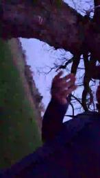 Gym2 webcam cam4 model stream image