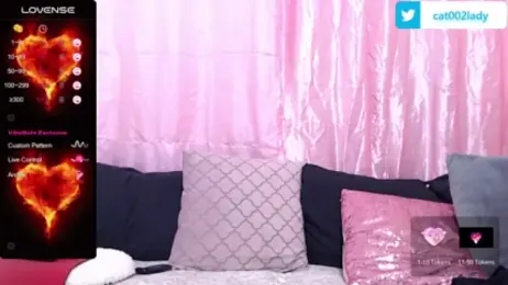 Catlady333 webcam model stream image