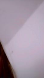 Liacc webcam model stream image