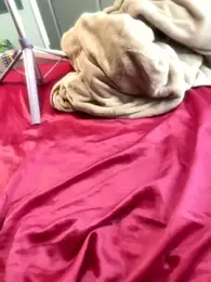 BigFineSelena webcam model stream image