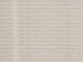 Frank Wesley webcam model stream image