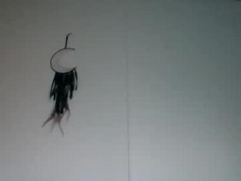 bamacpl80 webcam model stream image