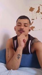 tesaosp4 webcam model stream image