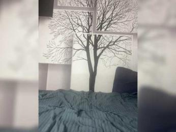 LODUR-Kisa webcam model stream image