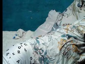 smallluncutc0ck webcam model stream image