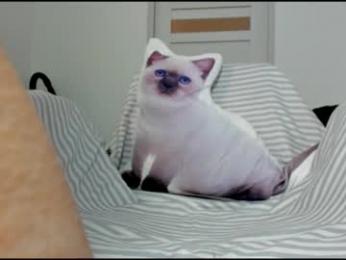 you_love_melisa webcam chaturbate model stream image