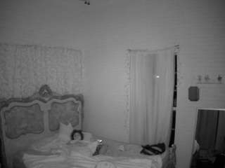 voyeurcam-hornyhostel-03 webcam model stream image
