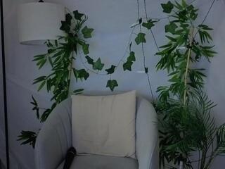 Doris Brindle webcam model stream image