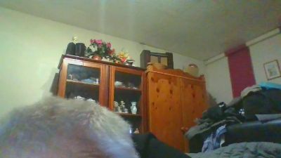 rick8547 webcam model stream image