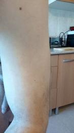 James22gg webcam cam4 model stream image