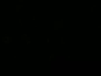 honestsexforyou webcam model stream image