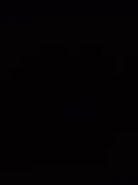 B-B-C-8 webcam model stream image