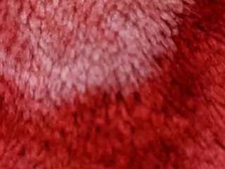 piush007 webcam model stream image