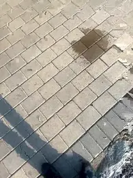 012ptaDickBBC webcam model stream image