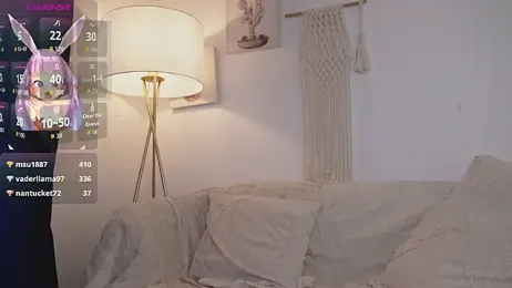 bunnycuteshy webcam model stream image