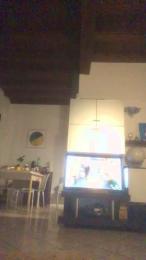 Alex77777777 webcam cam4 model stream image