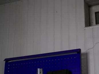 dustyn_fox webcam model stream image