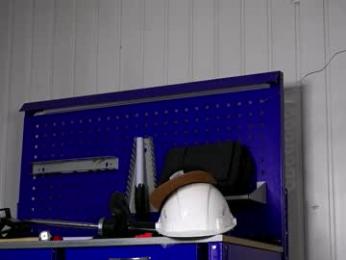 dustyn_fox webcam model stream image