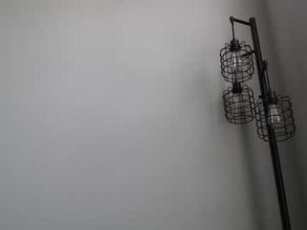 cv0118 webcam model stream image