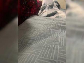 DiAlec webcam model stream image