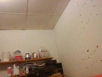 starlight1983 webcam model stream image