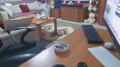 pollen_07 webcam cam4 model stream image