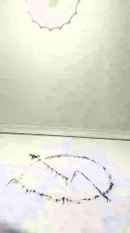 saldfnuik webcam model stream image