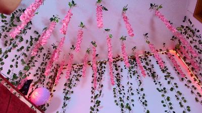 Collins_Daph webcam model stream image