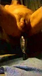 BostonGeorge69 webcam model stream image