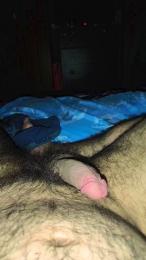 Felinoshere webcam model stream image