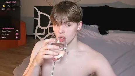 simonvnl webcam model stream image