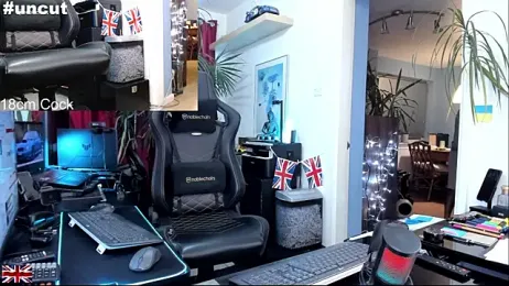 OnlineBossUK webcam model stream image