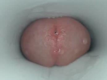 jeffrodgerschaturbat webcam chaturbate model stream image