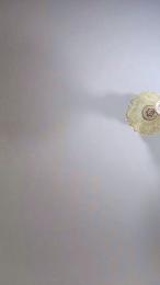 Noemy_italy webcam cam4 model stream image