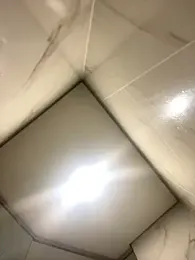 MEOW_MEO webcam model stream image