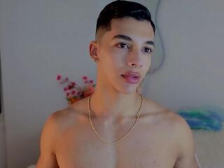 Troye Williams webcam model stream image