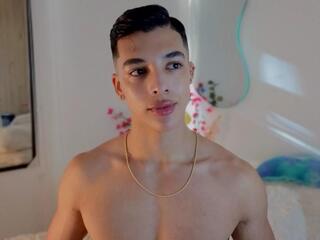 Troye Williams webcam model stream image