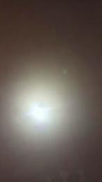 VITO1977 webcam model stream image