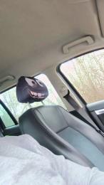 pegg_cunilingus webcam model stream image