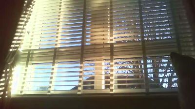 scotlad52 webcam model stream image