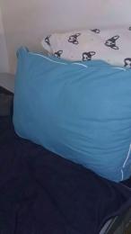 Volcaniik webcam model stream image